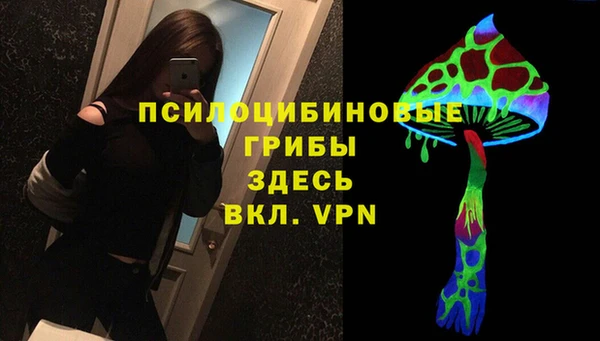 экстази Осинники