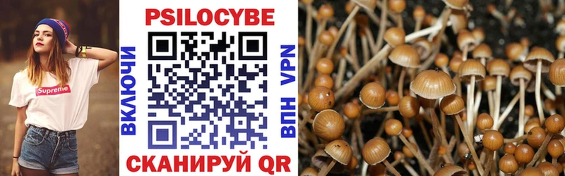 Купить закладки  Кирс  Галлюциногенные грибы мухоморы 